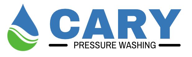 pressure washing logo